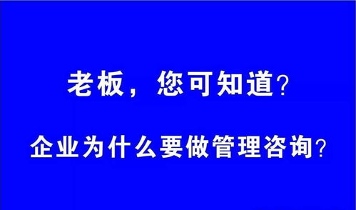 企业为何需要聘请管理咨询公司 商务信息咨询的价值与意义